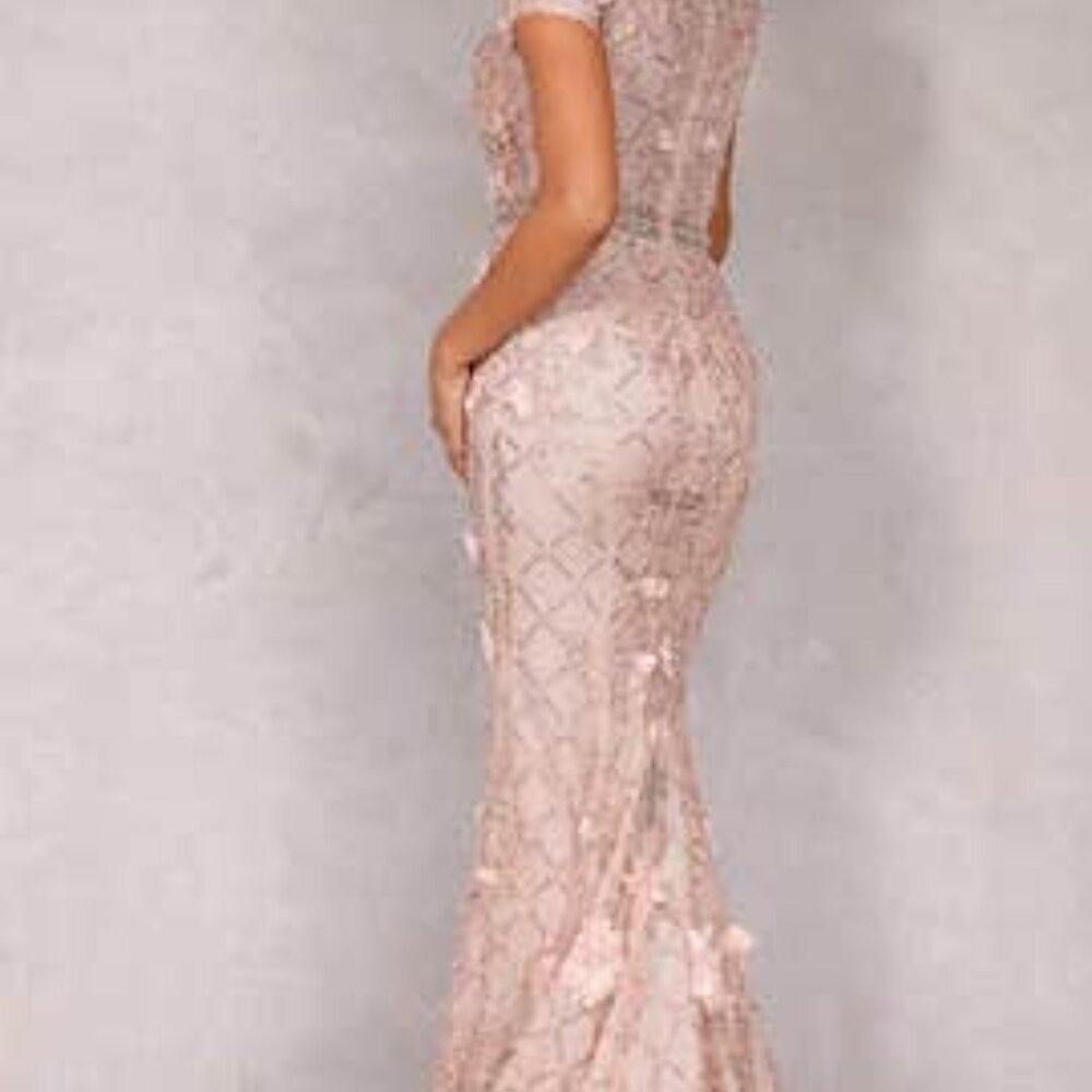 Terani Couture Evening Dress Size 4